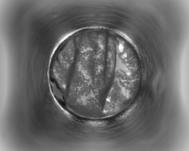 X0000087050943200705021154