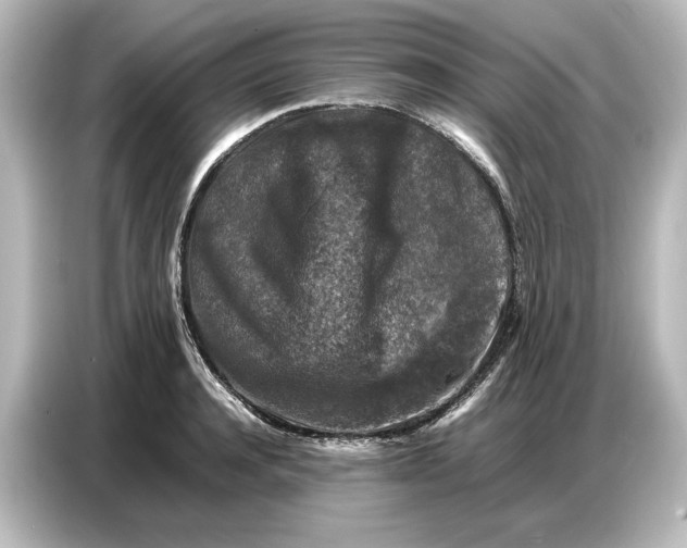 X0000087050944200705021154