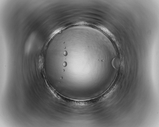 X0000087050945200705021154