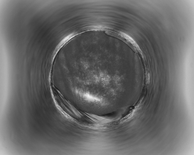 X0000087050946200705021154