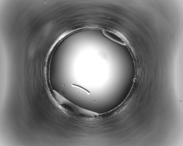 X0000087050947200705021154