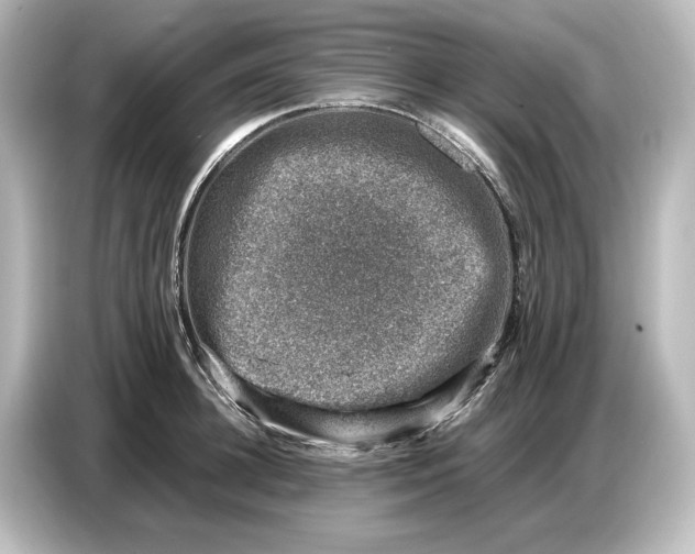 X0000087050948200705021154