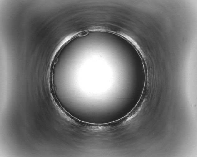 X0000087050949200705021154