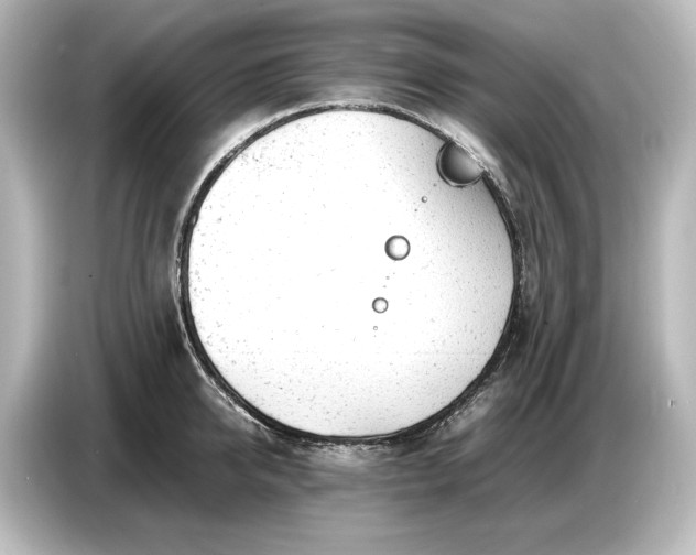 X0000087050950200705021154