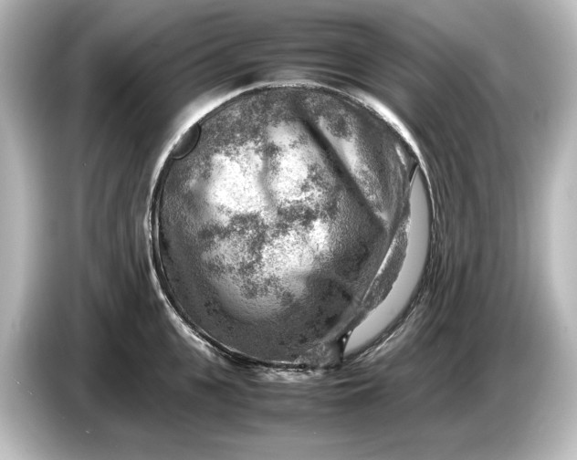 X0000087050951200705021154