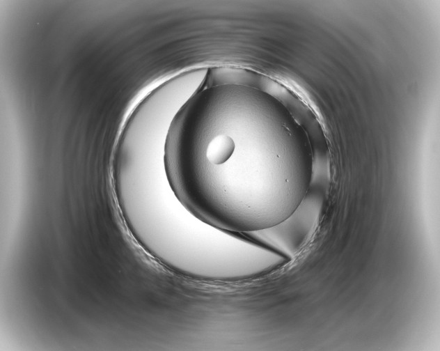 X0000087050952200705021154