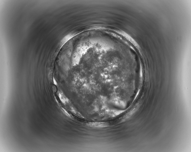 X0000087050953200705021154