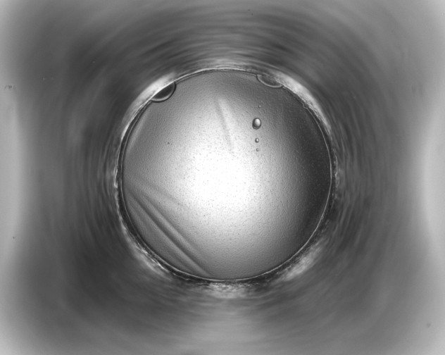 X0000087050954200705021154