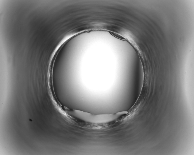 X0000087050955200705021154