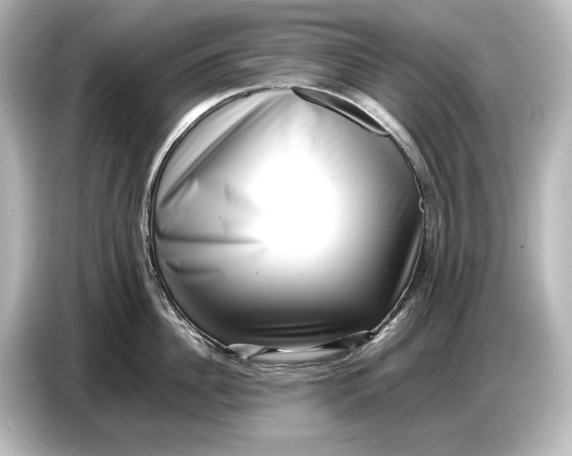 X0000087050956200705021154