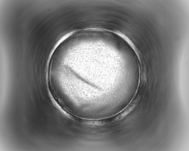 X0000087050957200705021154