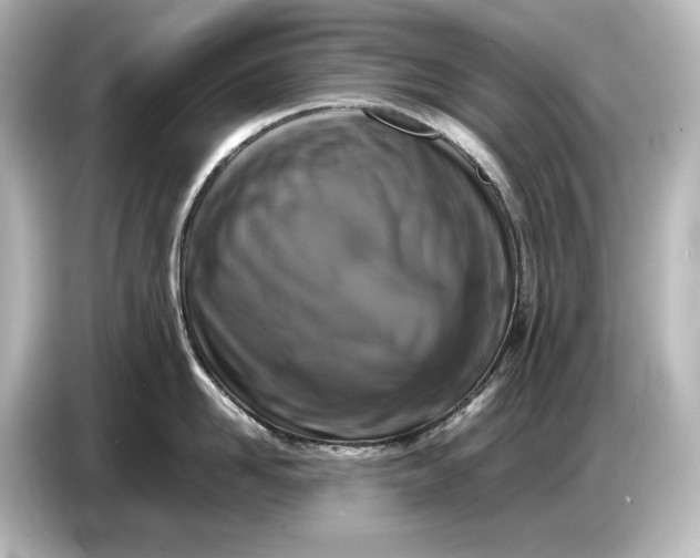 X0000087050958200705021154