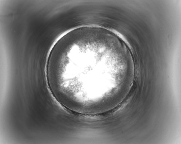 X0000087050959200705021154