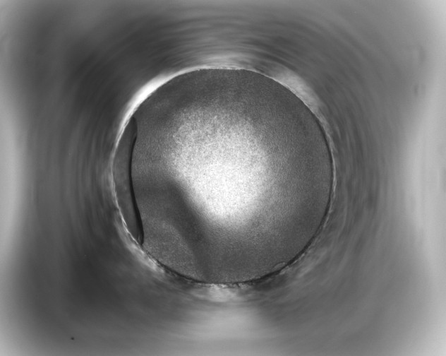 X0000087050960200705021154