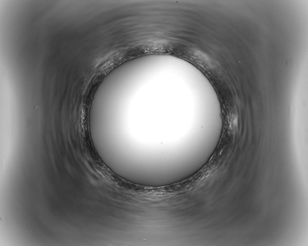 X0000087050964200705021153