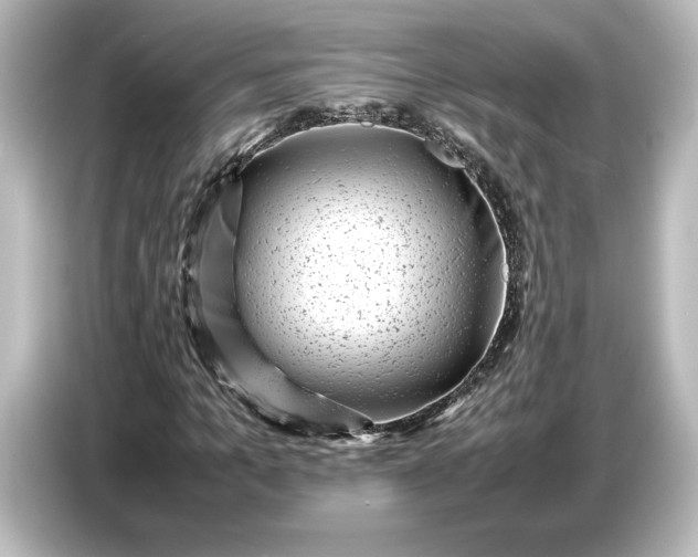 X0000087050965200705021153