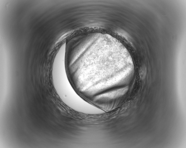 X0000087050968200705021153