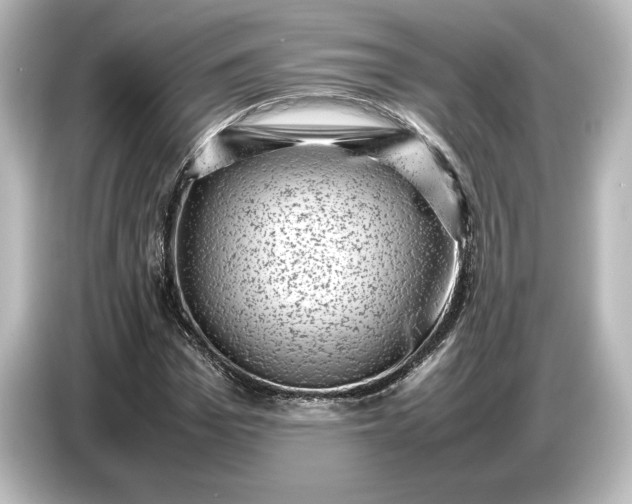 X0000087050969200705021153