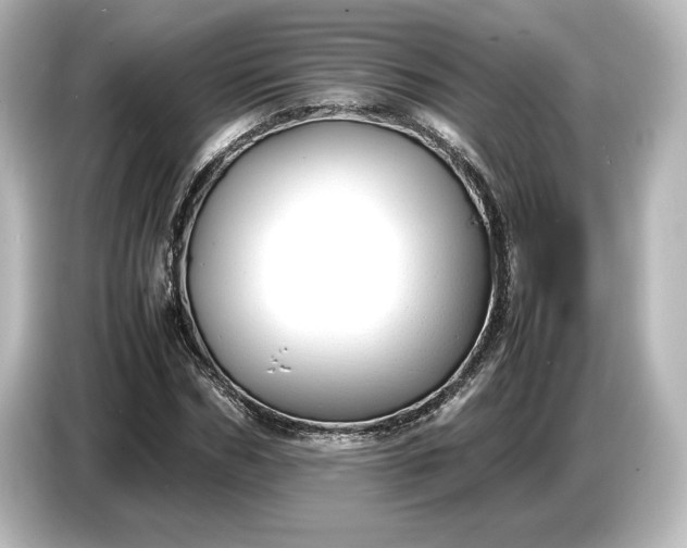 X0000087050970200705021153