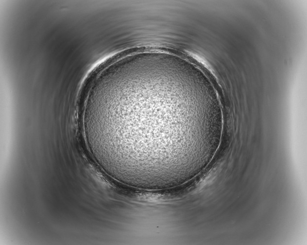 X0000087050971200705021153