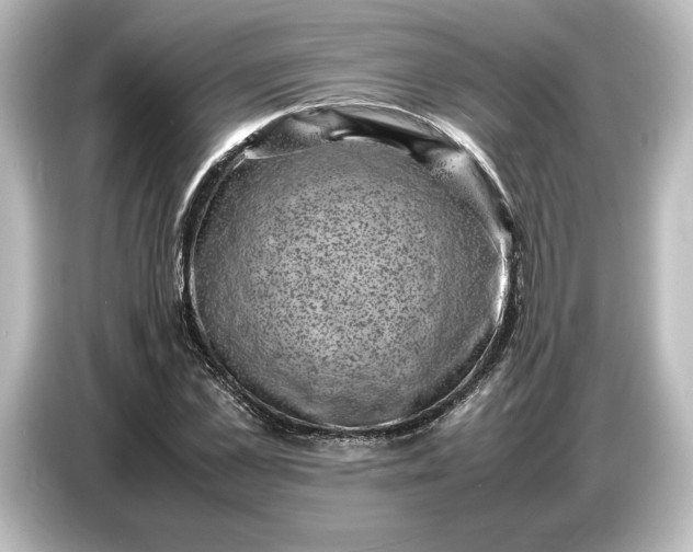 X0000087050973200705021153