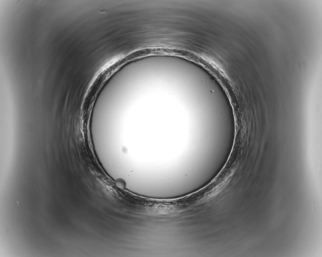 X0000087050974200705021153