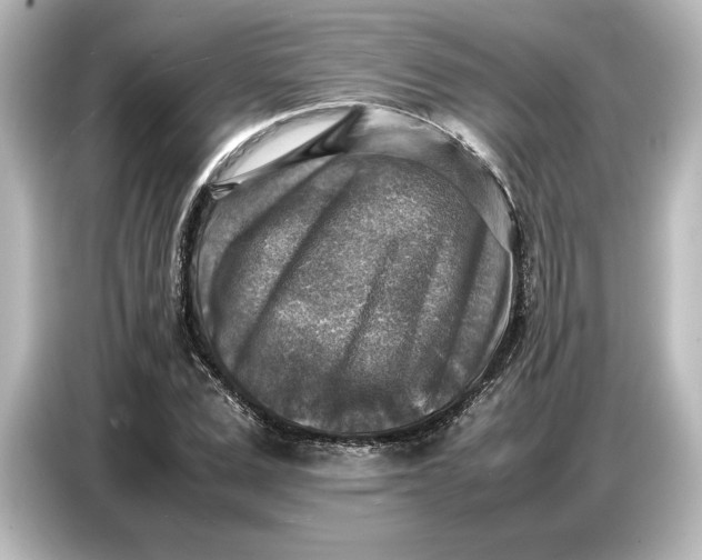 X0000087050975200705021153