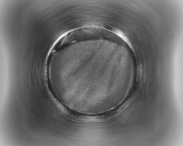 X0000087050976200705021153