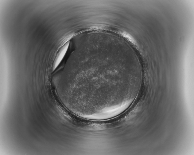 X0000087050977200705021153