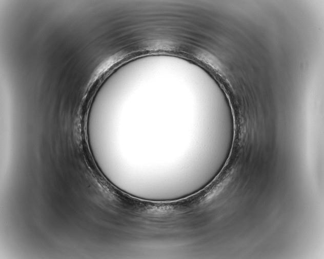 X0000087050978200705021153