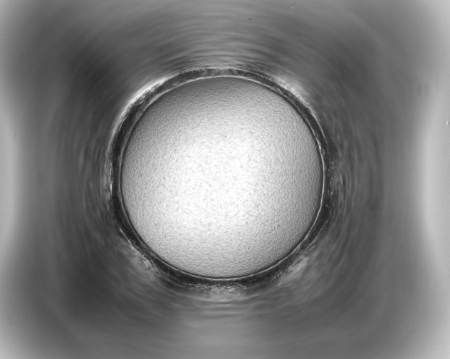 X0000087050979200705021153