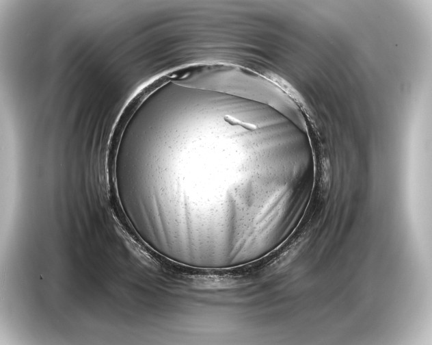 X0000087050980200705021153