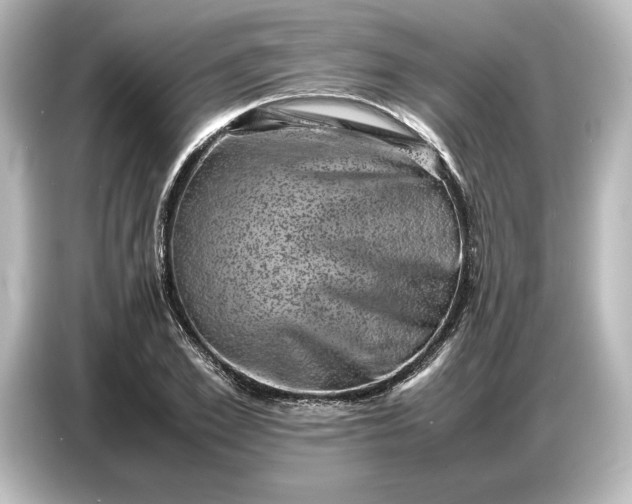 X0000087050981200705021153