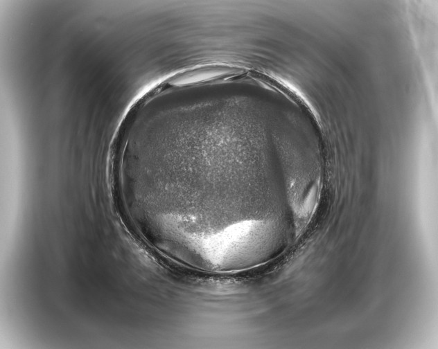 X0000087050983200705021153