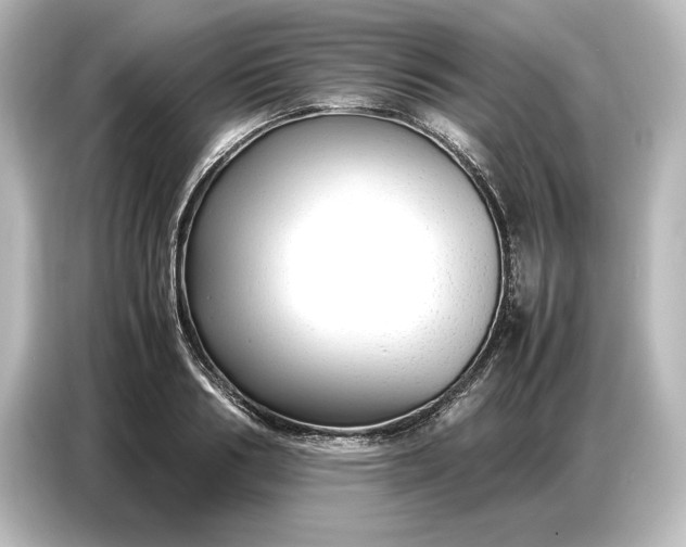 X0000087050986200705021153