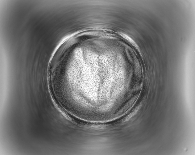 X0000087050989200705021153