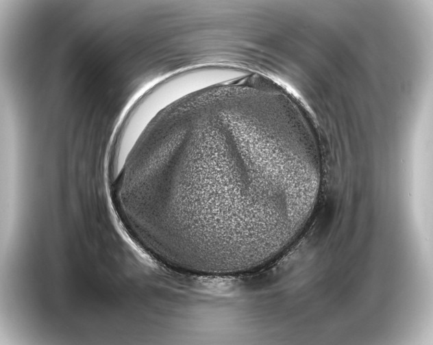 X0000087050991200705021153