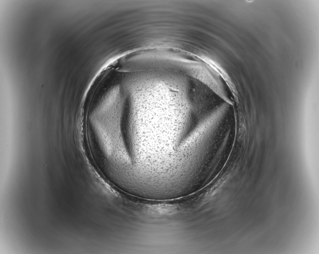 X0000087050992200705021153