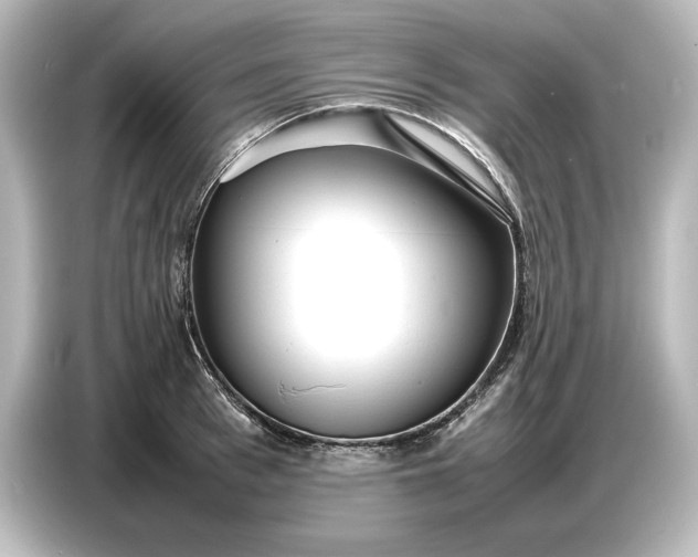 X0000087050993200705021153