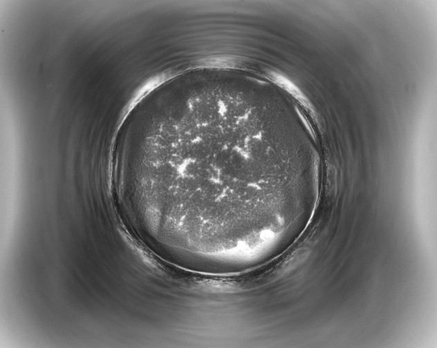 X0000087050994200705021153