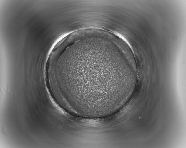 X0000087050995200705021153