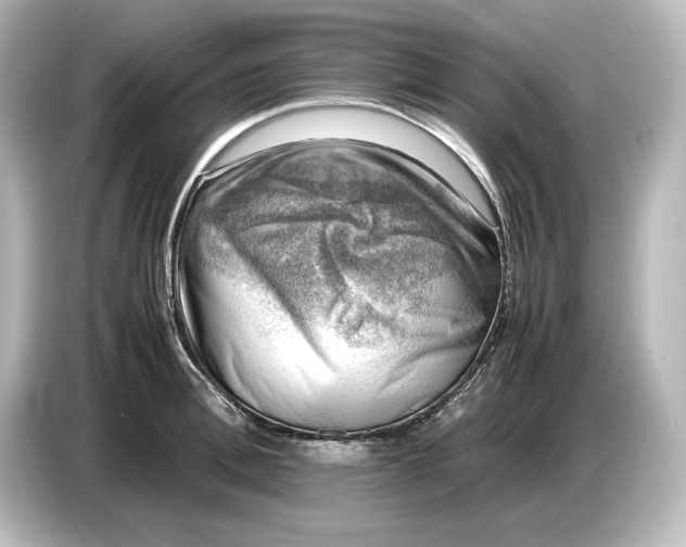 X0000087050996200705021153