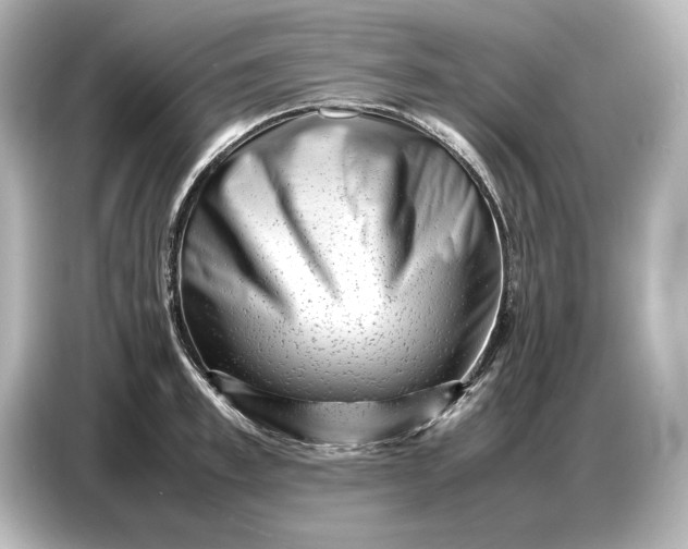 X0000087050997200705021153