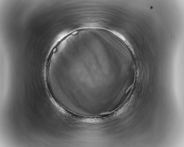 X0000087050998200705021153