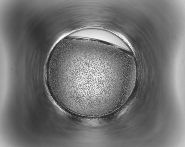 X0000087050999200705021153