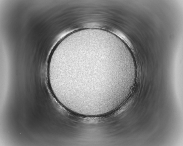 X0000087051000200705021153