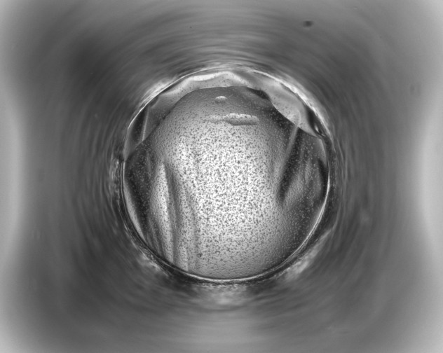 X0000087051001200705021153