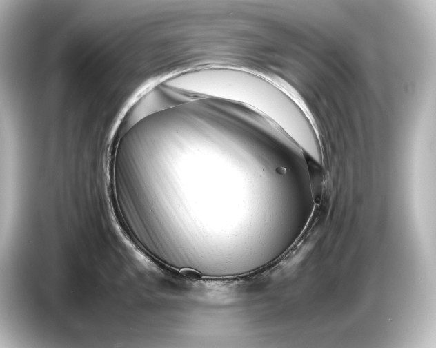 X0000087051005200705021153