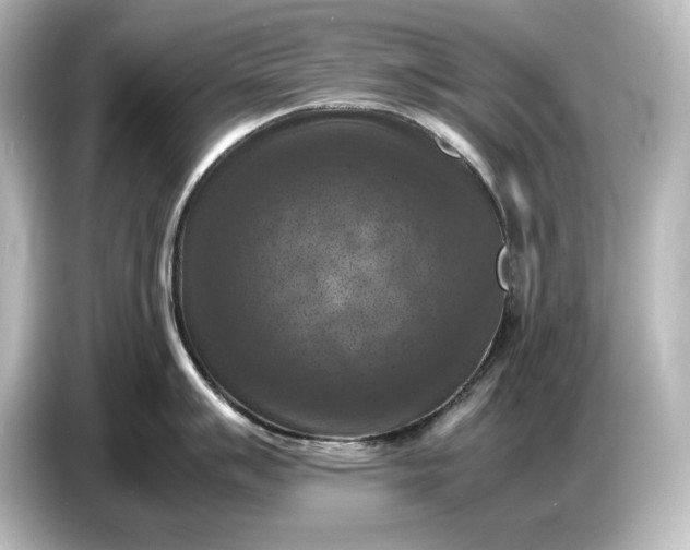 X0000087051007200705021153