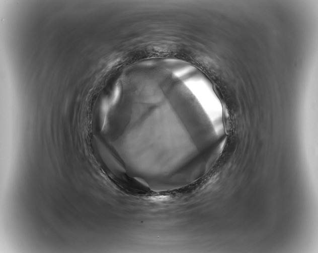 X0000087051009200705021152